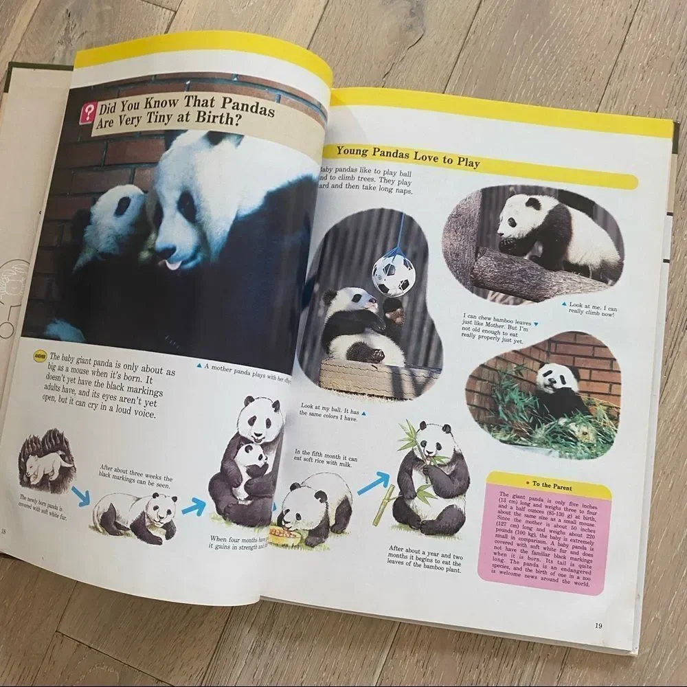 Children's Book Set Animals